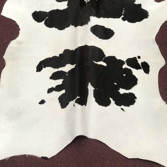 Real alligator Vans - Picture 5 of 8